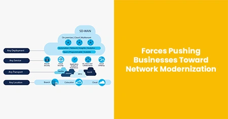 forces-driving-network